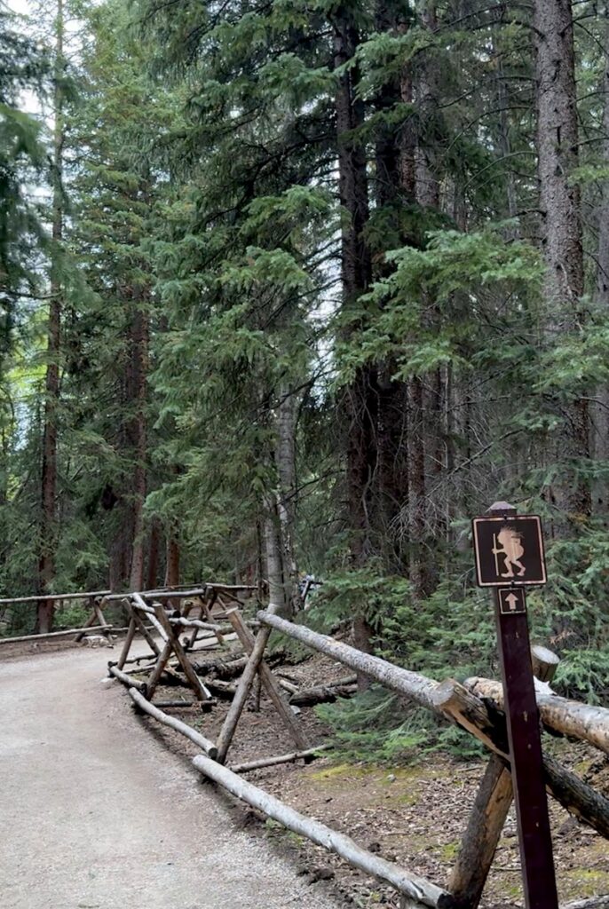 dirt trail to isak heartstone in summer breckenridge troll colorado
