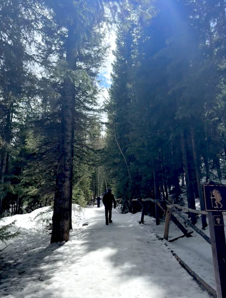 trail to isak heartstone in winter snow covered breckenridge troll colorado