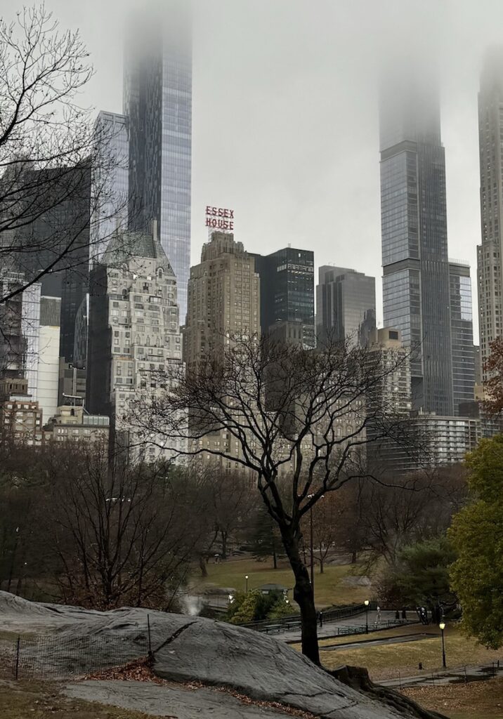 Large buildings rising up over park on gloomy rainy day. Central Park, Manhattan, New York City, New York.