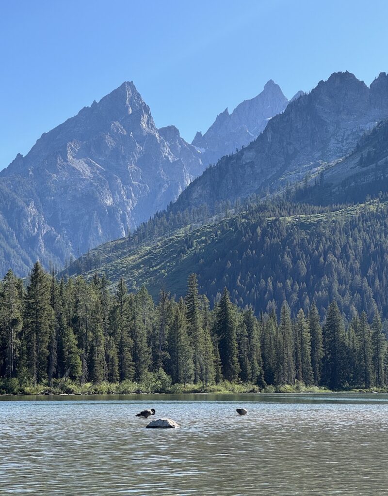 String Lake Grand Teton National Park Wyoming