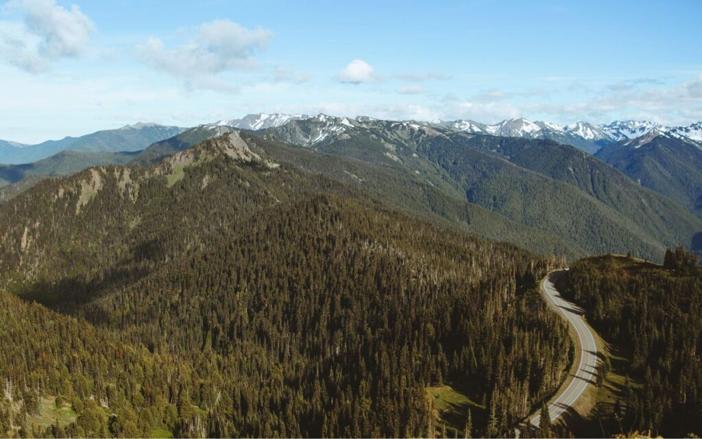 Hurricane Ridge Olympic National Park Washington