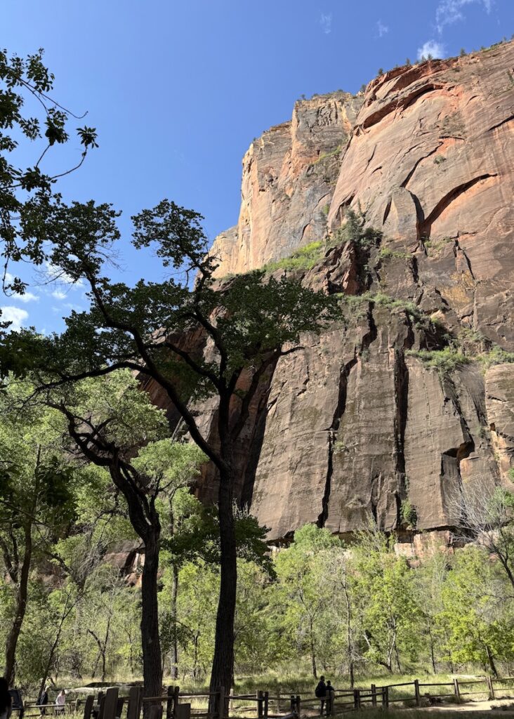 Riverside Walk Trailhead Temple of Sinawava Stop 9 Zion Shuttle Zion National Park Utah