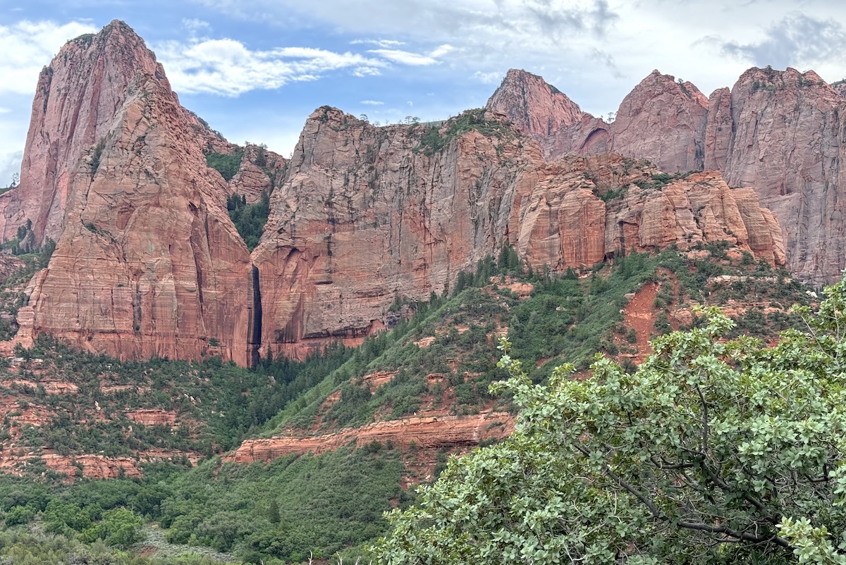 Huge red rock cliffs rising up from lush green vegetation during summer. Kolob Canyons, Zion National Park, Utah.