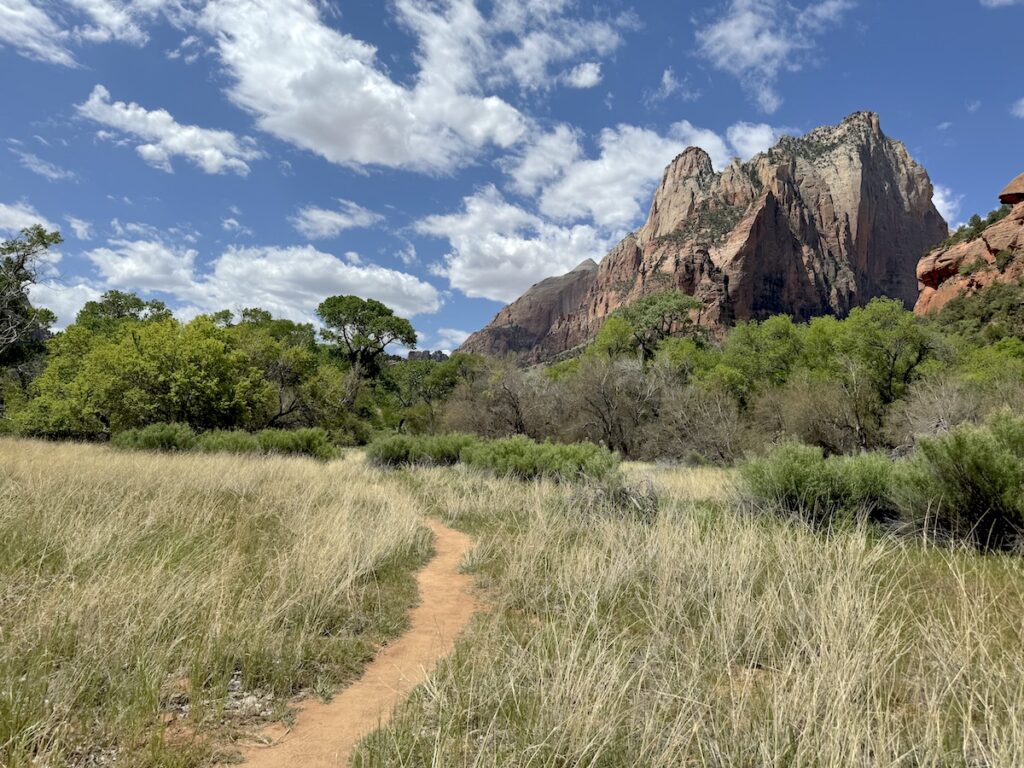 sand beach trail zion national park utah