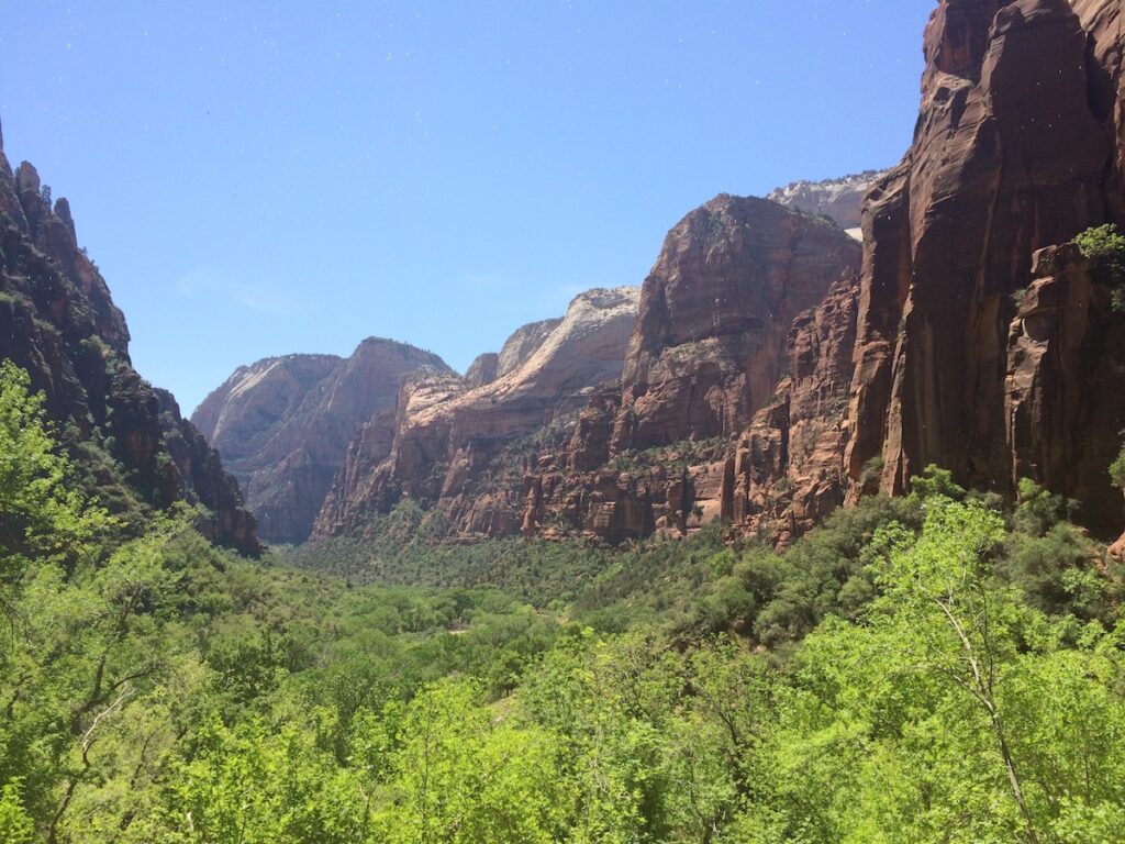 View from Weeping Rock of lush green trees framed by huge red rock cliffs on sunny summer day. Weeping Rock, Zion Canyon, Zion National Park, Utah.