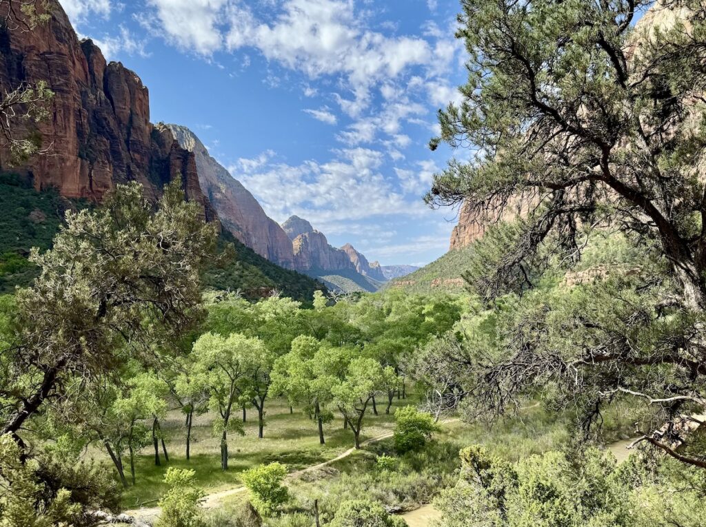 Lush green valley with red rock cliffs rising up on either side on sunny summer day. Kayenta Trail, Zion Canyon, Zion National Park, Utah.