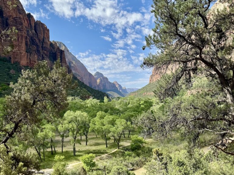 Lush green valley with red rock cliffs rising up on either side on sunny summer day. Kayenta Trail, Zion Canyon, Zion National Park, Utah.