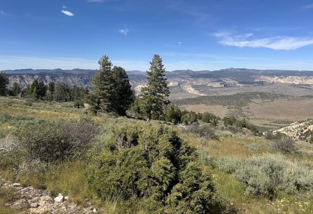 canyon overlook harpers corner road dinosaur national monument colorado