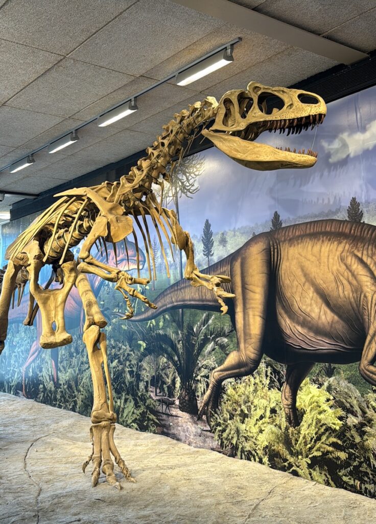 dinosaur bones quarry exhibit hall dinosaur national monument utah