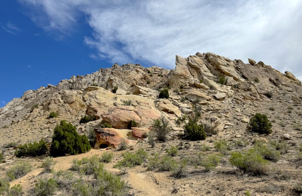 fossil discovery trail dinosaur national monument utah