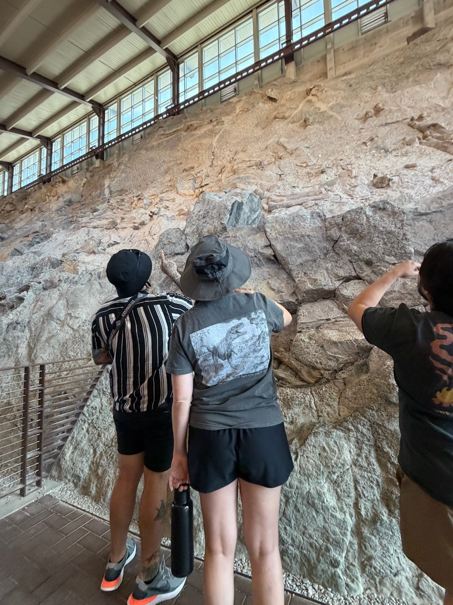 quarry exhibit hall dinosaur bones dinosaur national monument utah