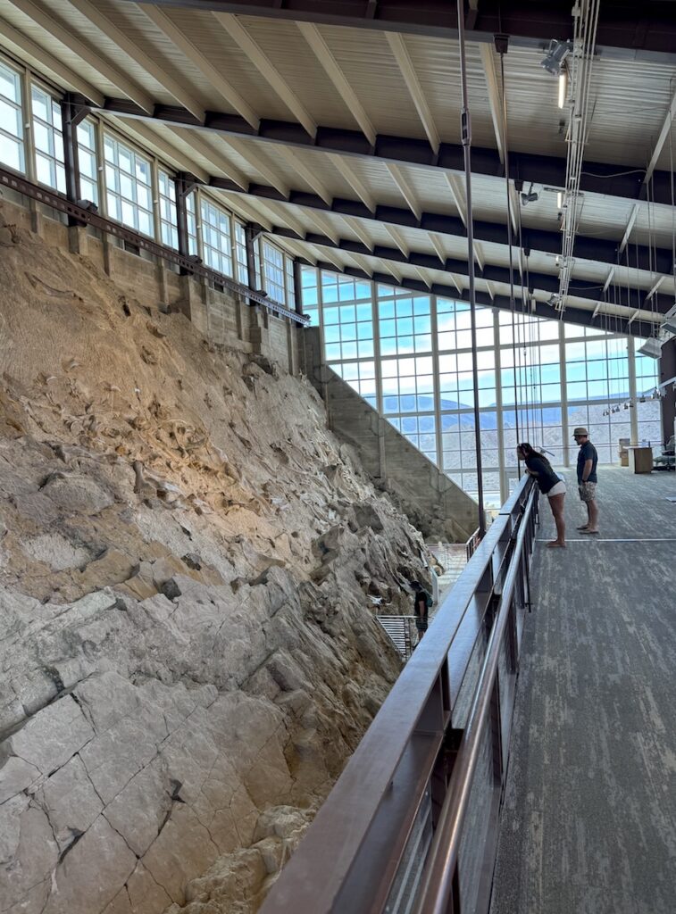 quarry exhibit hall dinosaur national monument utah