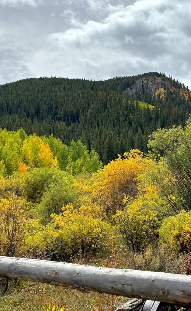 fall colors aspen alley trail breckenridge colorado fall